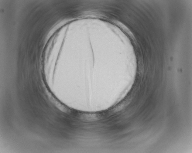 X0000080111431200701051318