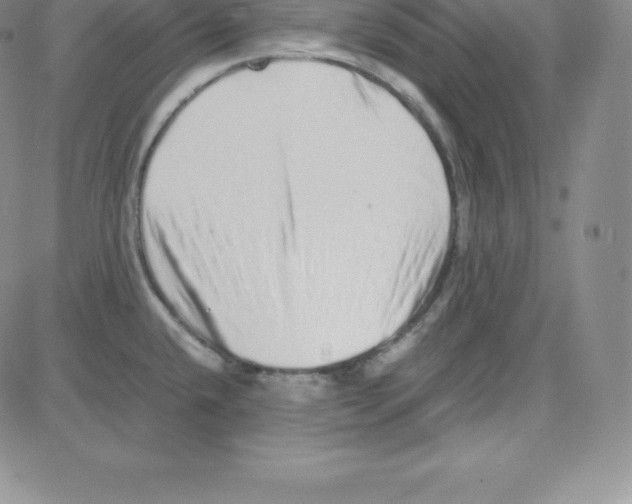 X0000080111432200701051318