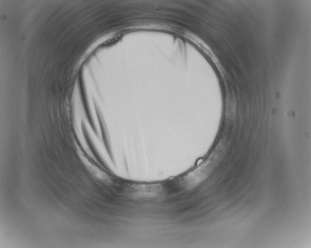 X0000080111433200701051318