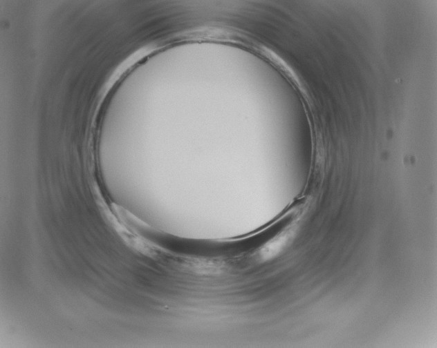 X0000080111434200701051318