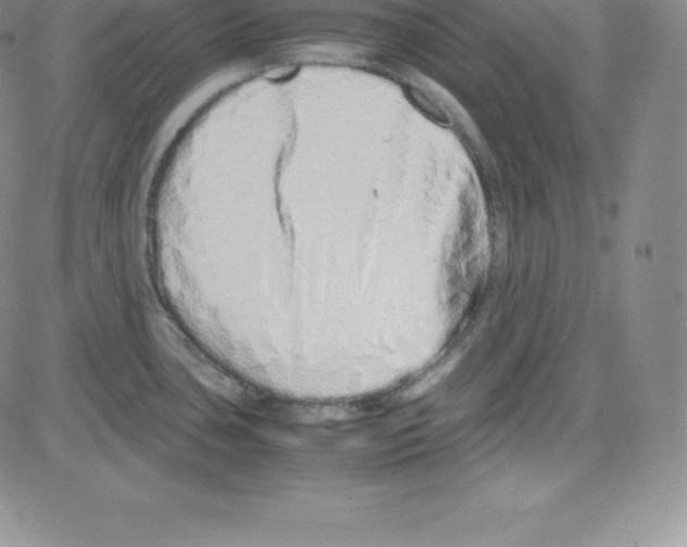 X0000080111435200701051318