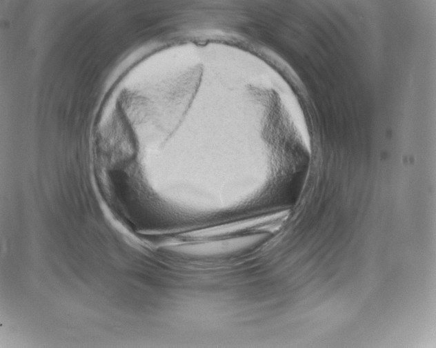 X0000080111439200701051318