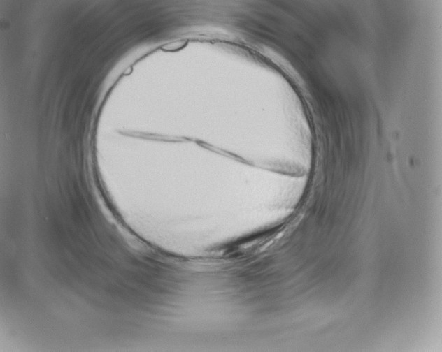 X0000080111440200701051318