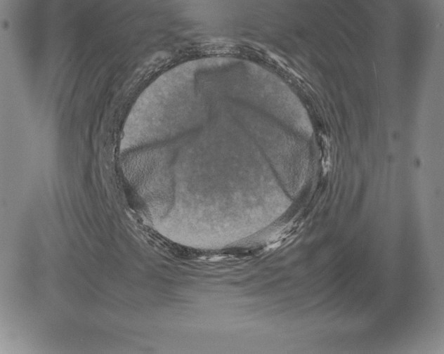 X0000080111441200701051318