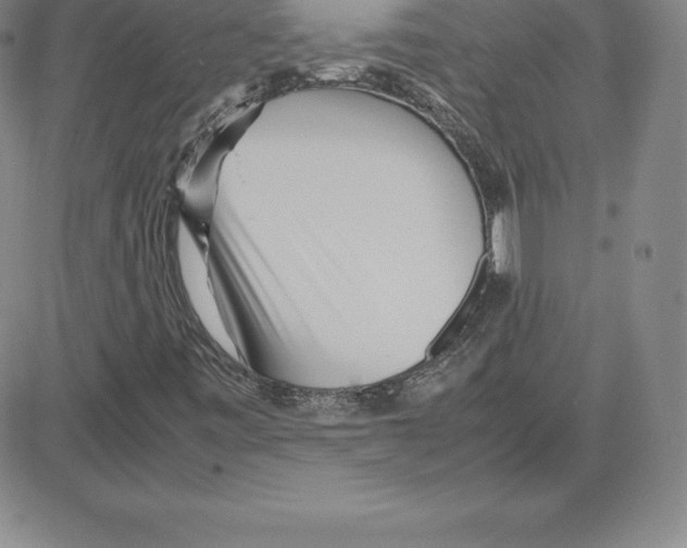 X0000080111443200701051318