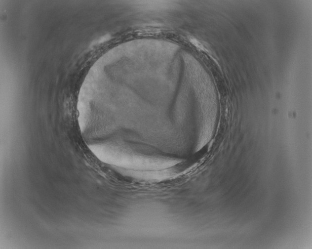 X0000080111445200701051318