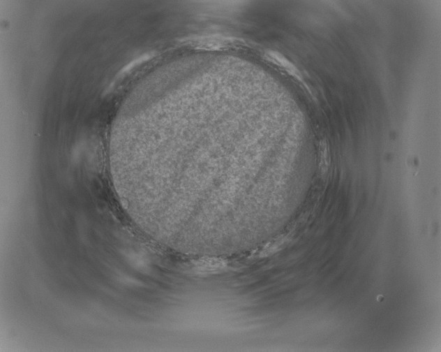 X0000080111446200701051318