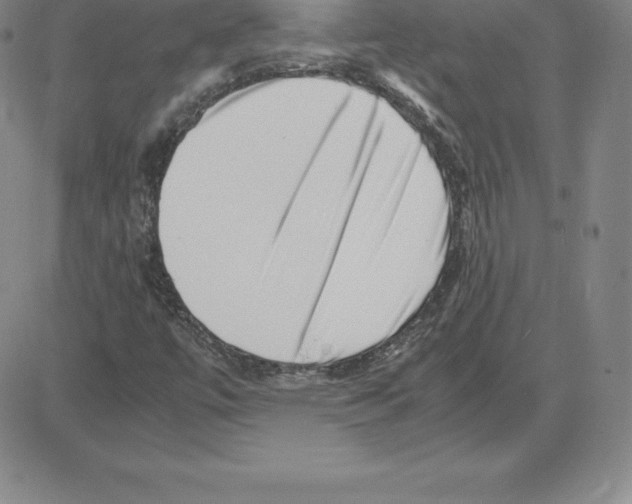 X0000080111447200701051318