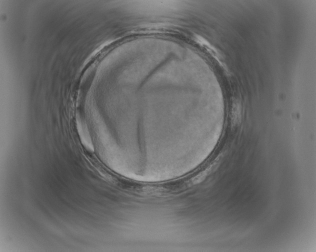 X0000080111449200701051318