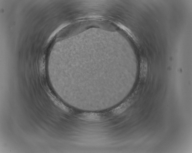 X0000080111450200701051318