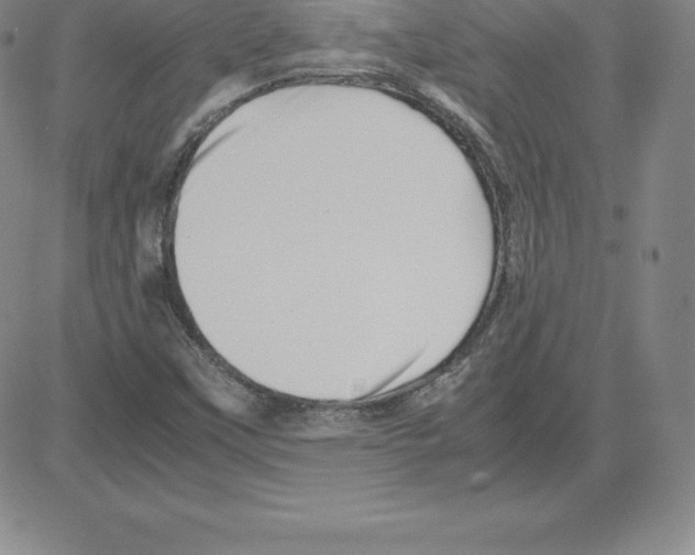 X0000080111451200701051318