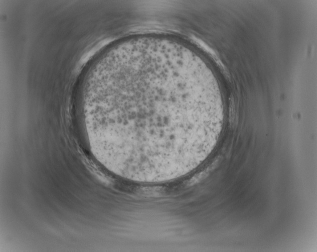 X0000080111453200701051318