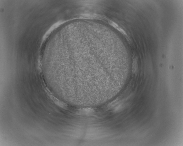 X0000080111454200701051317