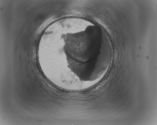 X0000080111455200701051317