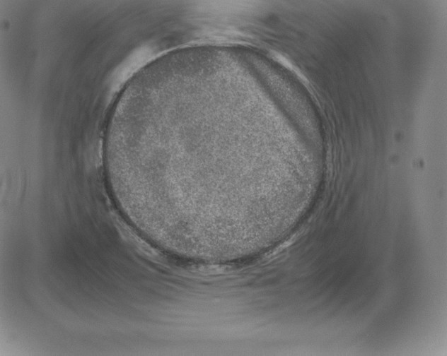 X0000080111459200701051317