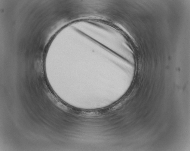 X0000080111460200701051317