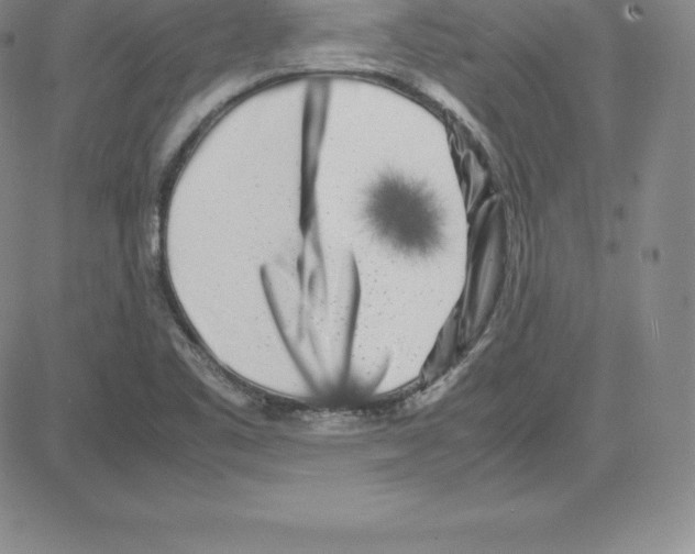 X0000080111461200701051317