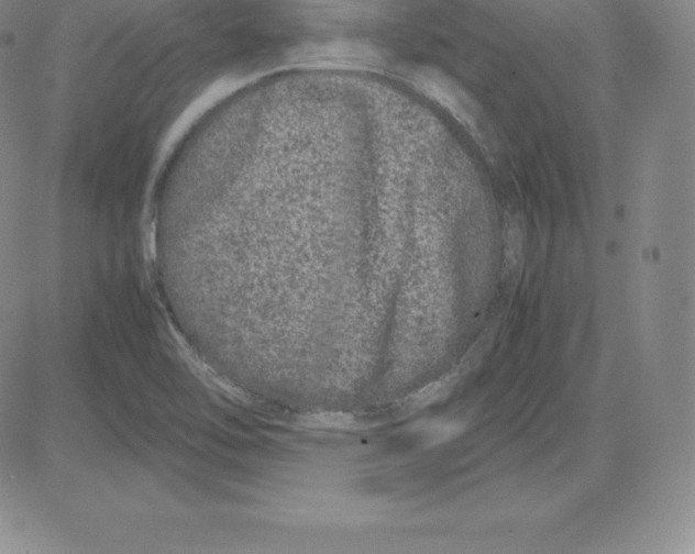 X0000080111462200701051317