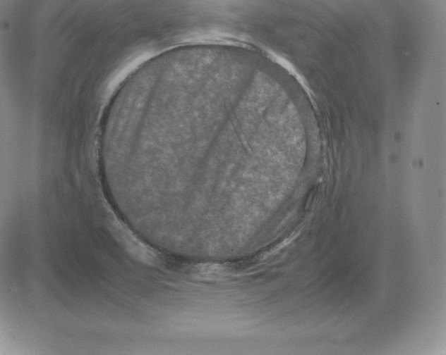 X0000080111463200701051317