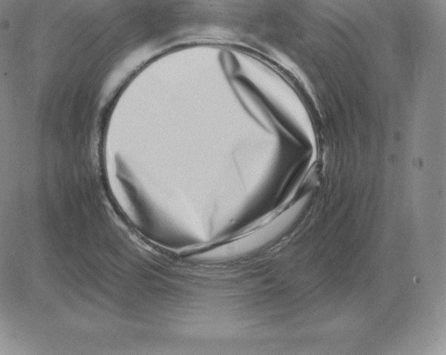 X0000080111464200701051317