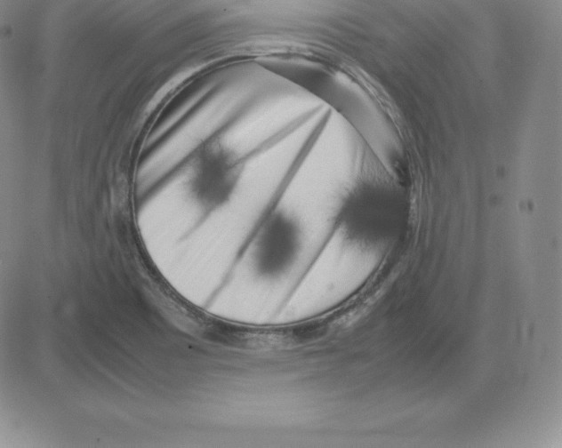 X0000080111465200701051317