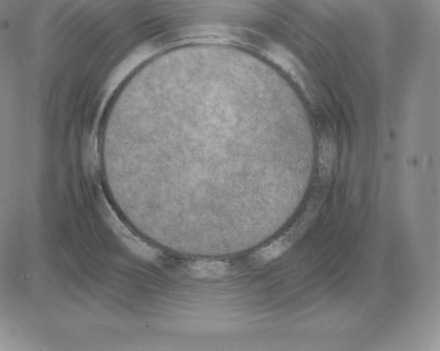 X0000080111466200701051317