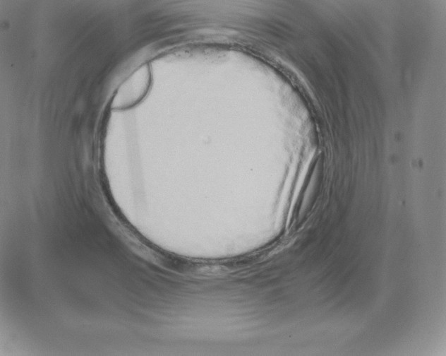 X0000080111467200701051317