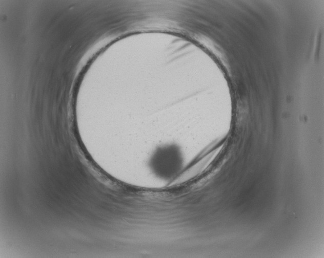 X0000080111469200701051317