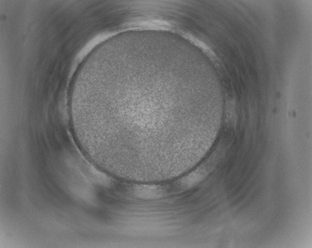 X0000080111470200701051317