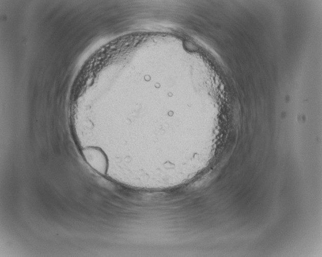 X0000080111471200701051317