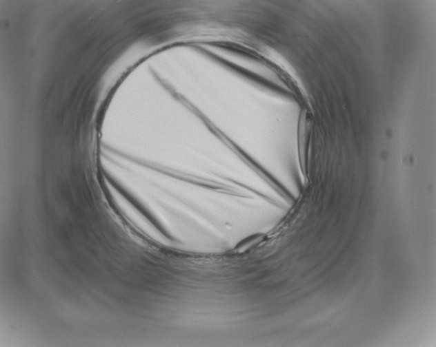 X0000080111472200701051317