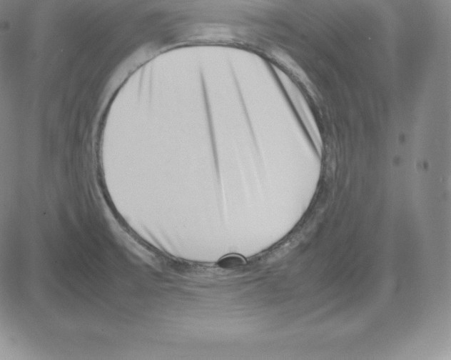 X0000080111475200701051317