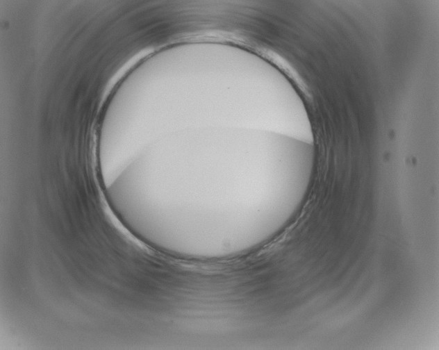 X0000080111476200701051317