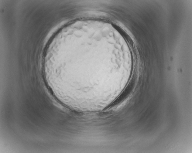 X0000080111477200701051317