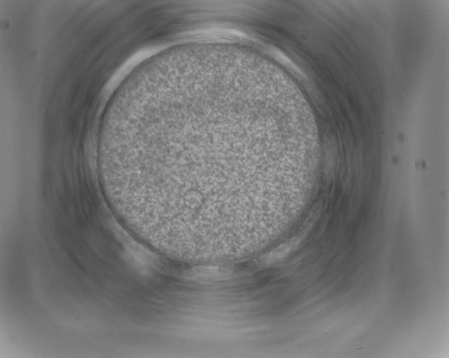 X0000080111478200701051317