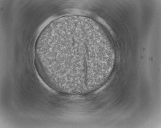 X0000080111479200701051317