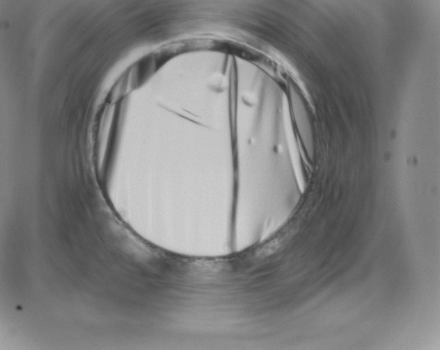 X0000080111480200701051317