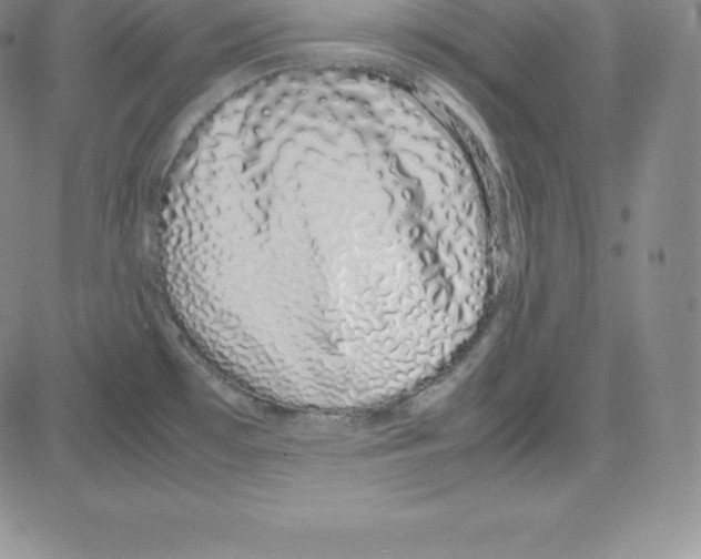 X0000080111481200701051317