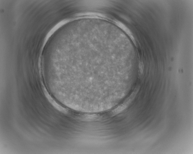 X0000080111482200701051317