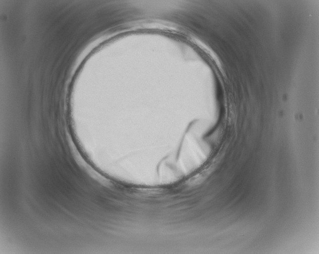 X0000080111483200701051317