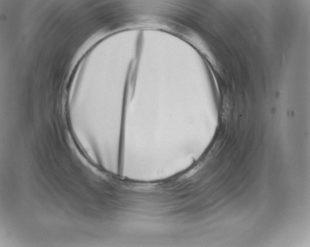 X0000080111484200701051317