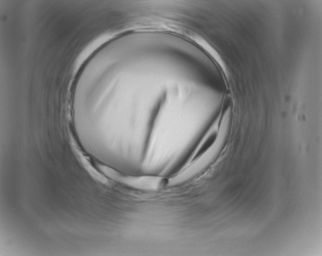 X0000080111485200701051317