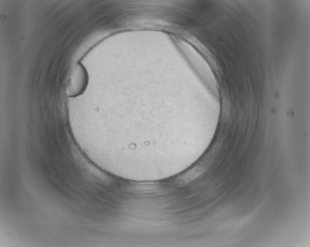 X0000080111486200701051317