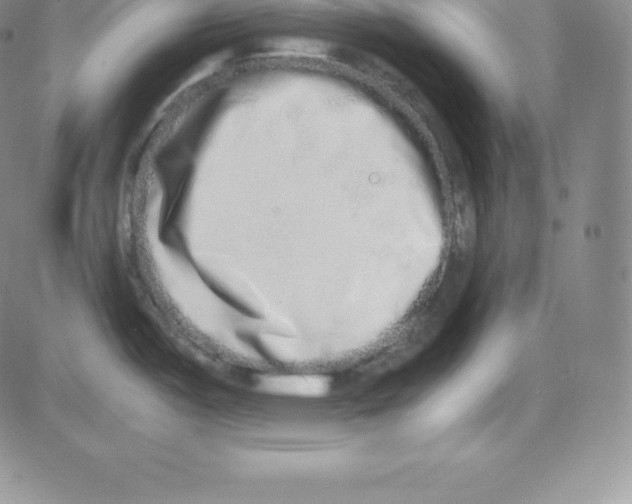 X0000080111487200701051317