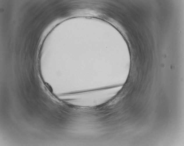 X0000080111488200701051317