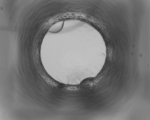 X0000080111489200701051316