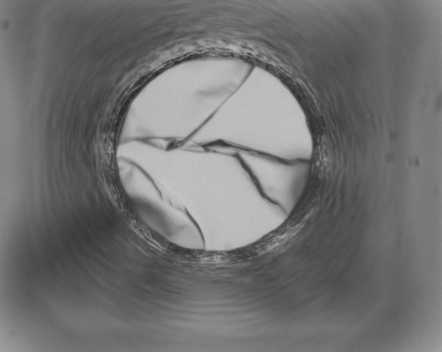 X0000080111490200701051316