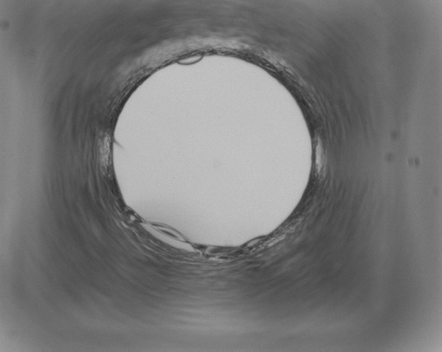 X0000080111492200701051316