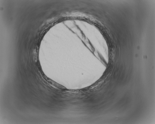 X0000080111493200701051316