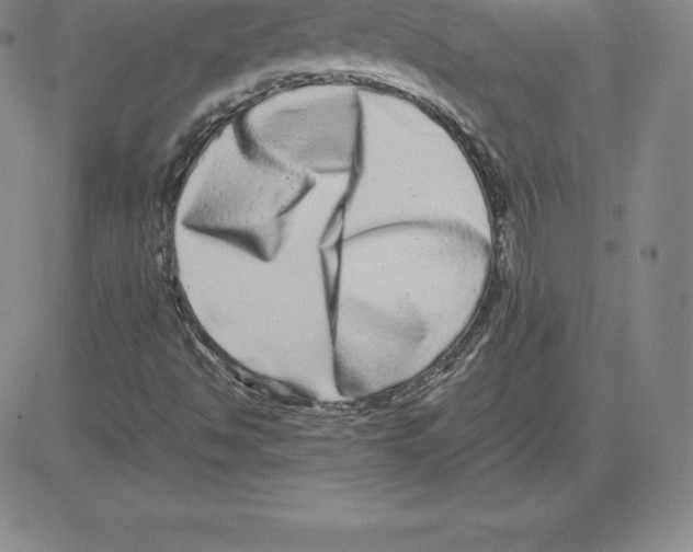 X0000080111494200701051316